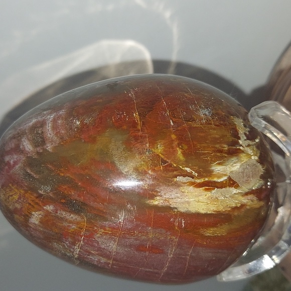 Petrified wood Egg - Picture 4 of 5